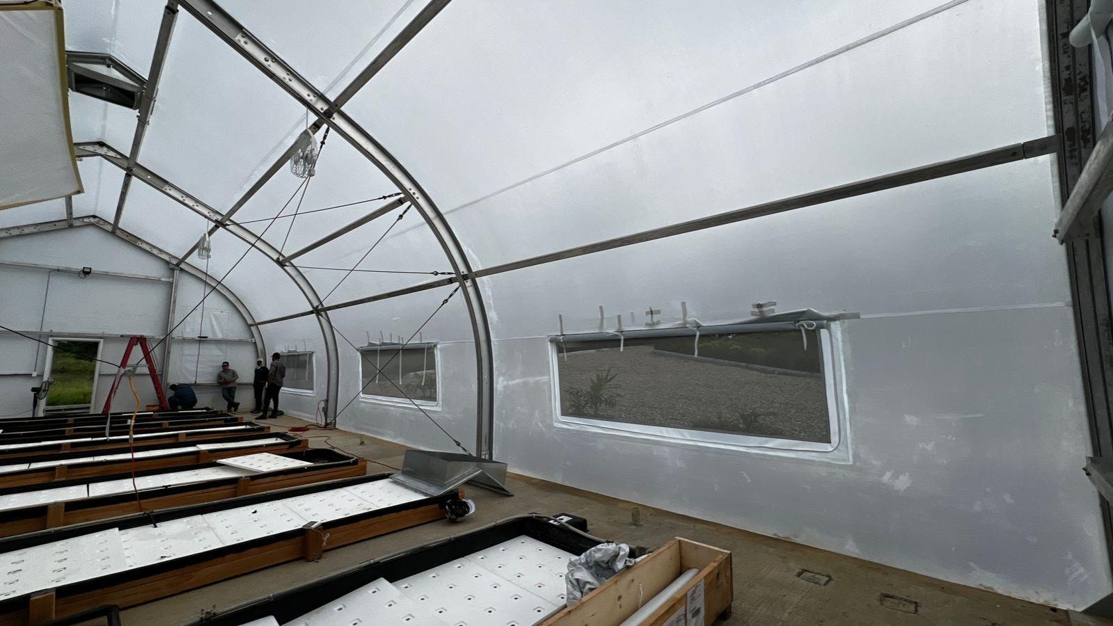 Inside the Gran Tierra greenhouse growing environment