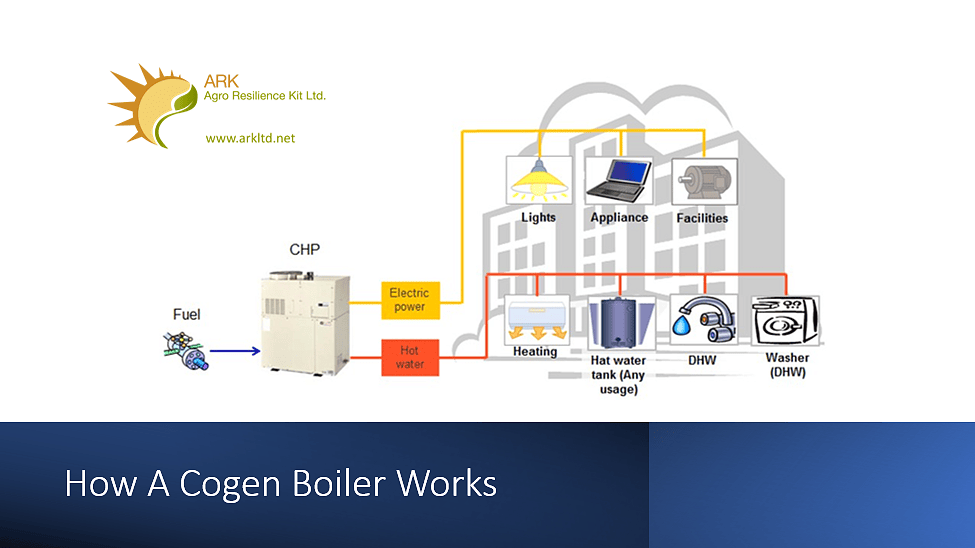 The Economics of Biogas CHP in Alberta: What the Numbers Actually Show