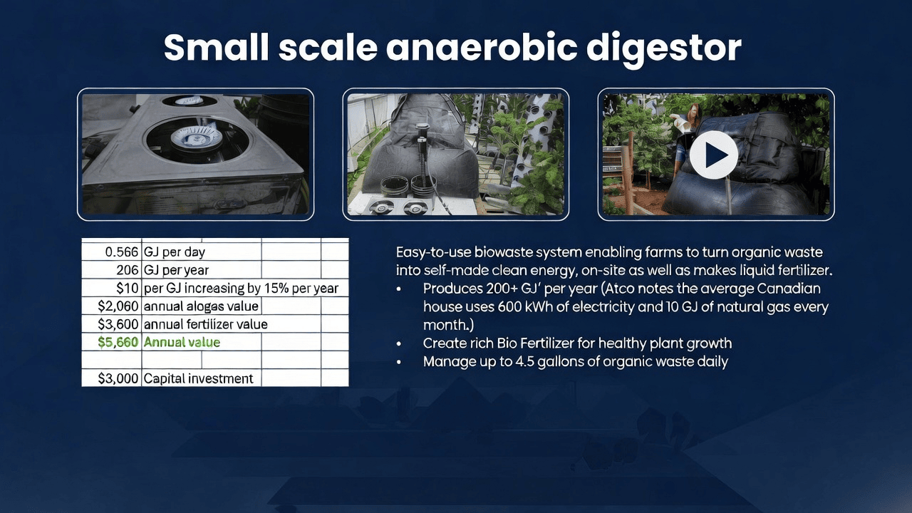 Small scale biogas system economics — financial metrics and operational overview