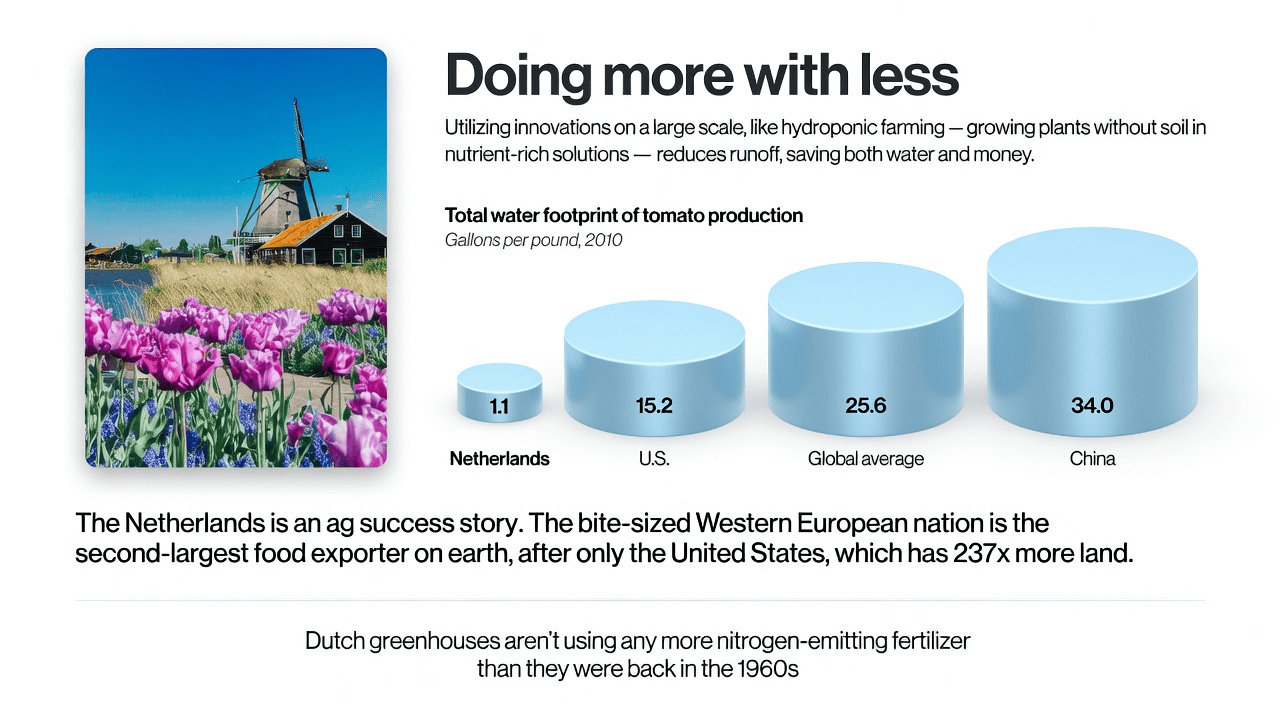 Doing more with less — Dutch greenhouse water footprint comparison infographic
