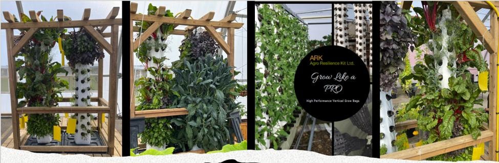 Vertical Grow Bags for Fodder Production: Density, Yield, and Feed Cost Reduction